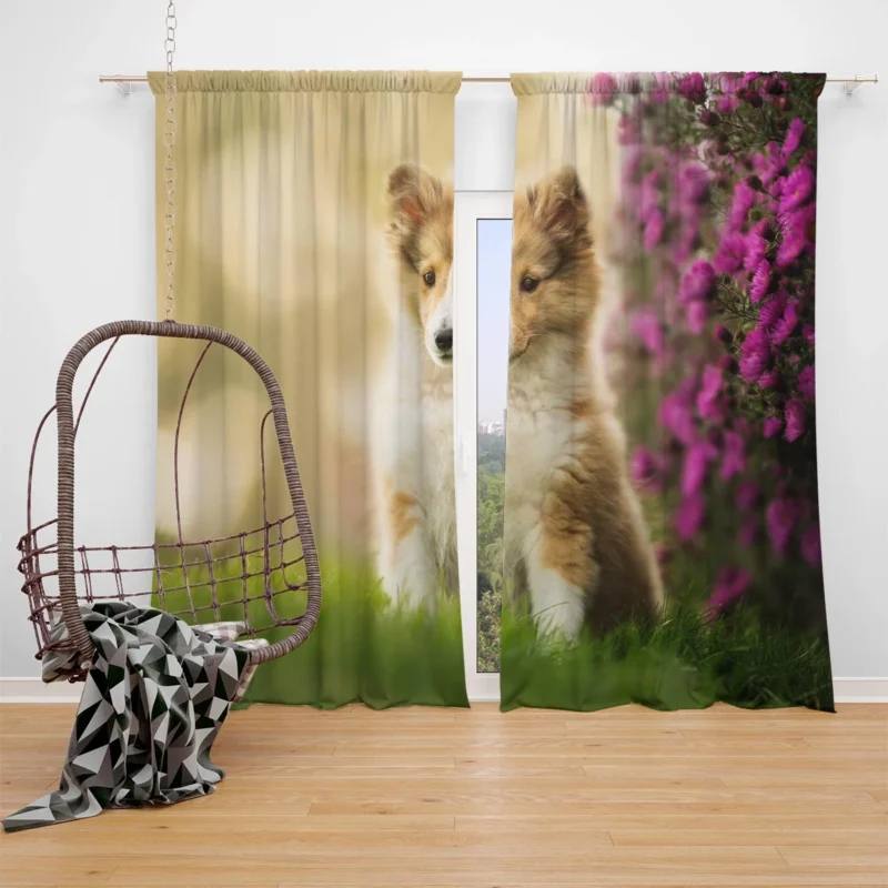 Playful Puppy Bauble: Shetland Sheepdog Quartet Window Curtain