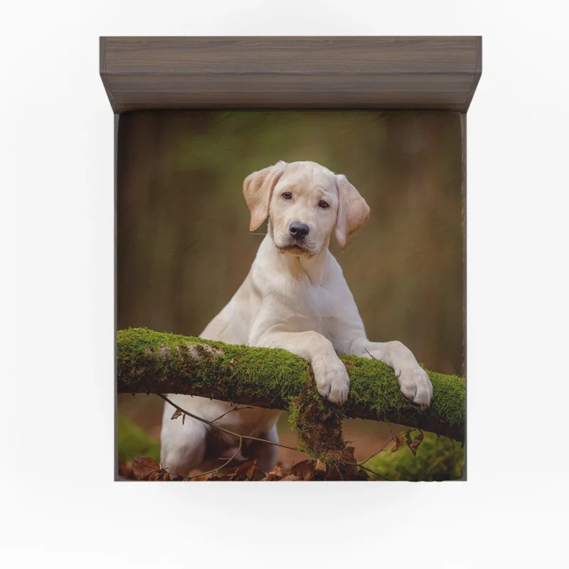 Playful Puppy Cuteness: Labrador Quartet Fitted Sheet