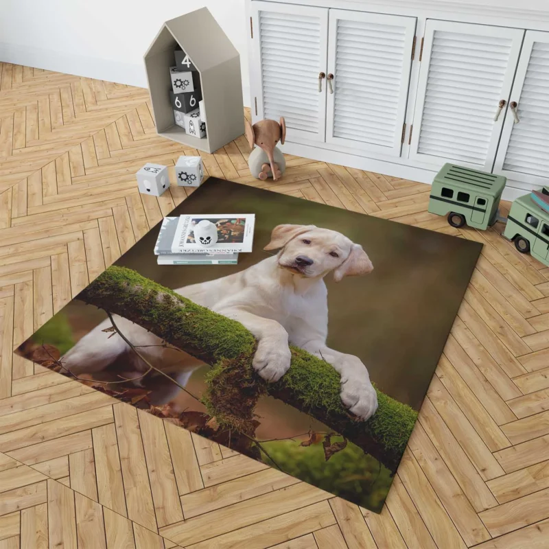 Playful Puppy Cuteness: Labrador Quartet Floor Rug 1