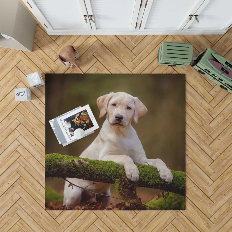 Playful Puppy Cuteness: Labrador Quartet Floor Rug