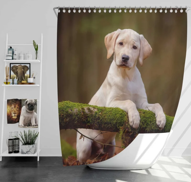 Playful Puppy Cuteness: Labrador Quartet Shower Curtain