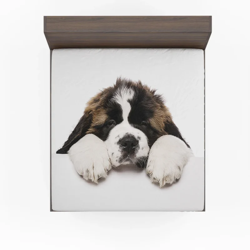 Playful Pups: Saint Bernard Quartet Fitted Sheet