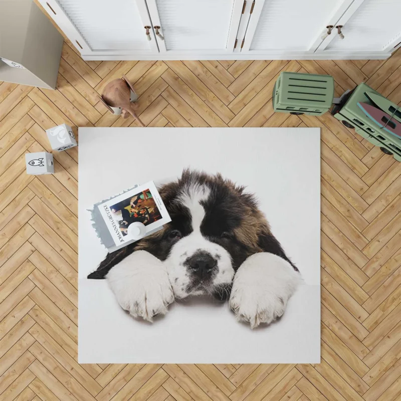 Playful Pups: Saint Bernard Quartet Floor Rug