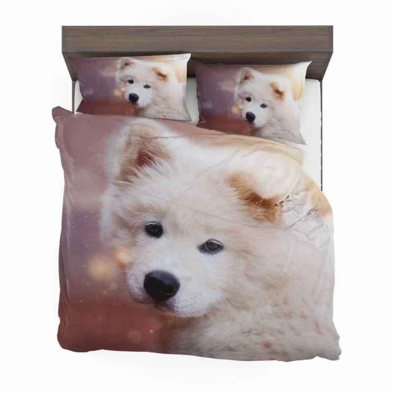 Playful Pups: Samoyed Quartet Bedding Set 1