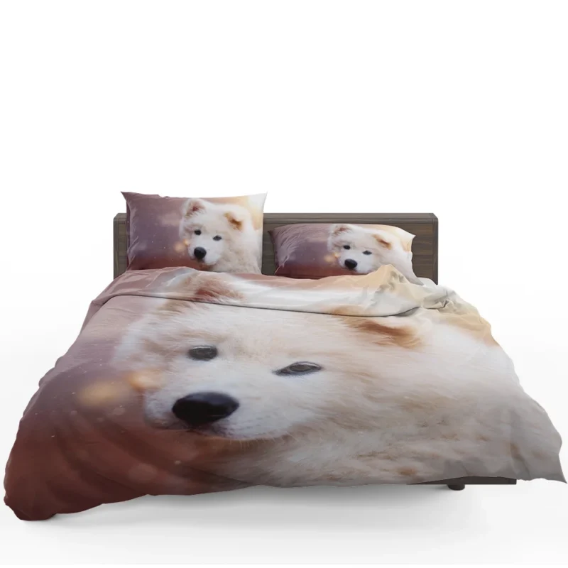 Playful Pups: Samoyed Quartet Bedding Set