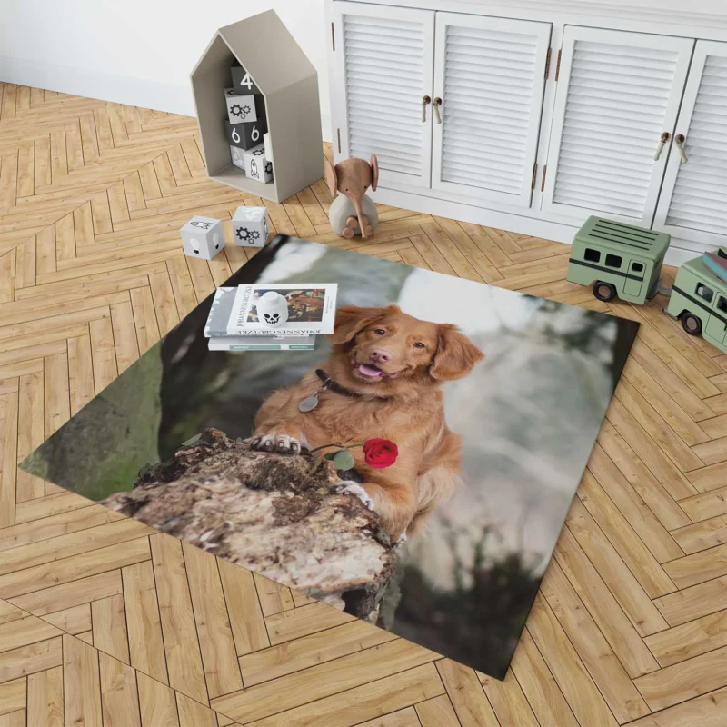 Playful Quartet: Nova Scotia Duck Tolling Retriever Floor Rug 1