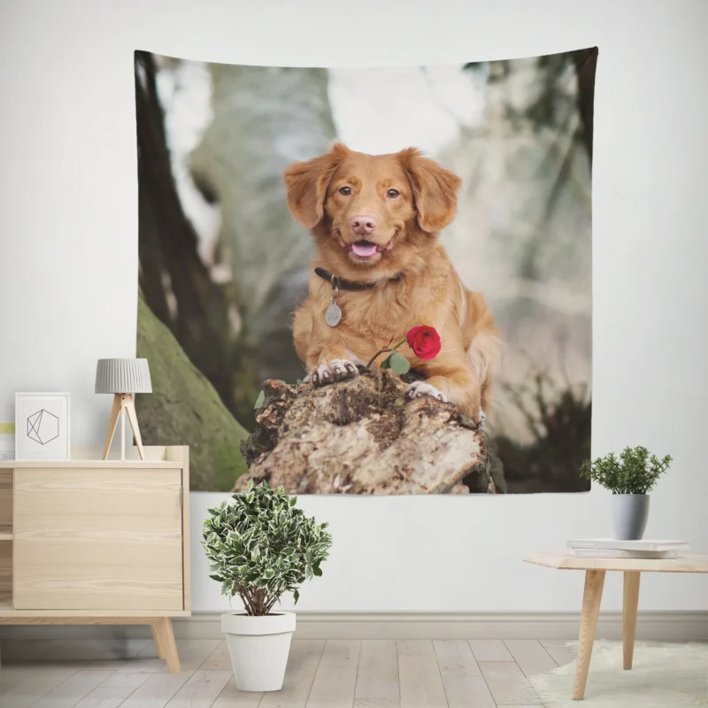 Playful Quartet  Nova Scotia Duck Tolling Retriever Wall Tapestry