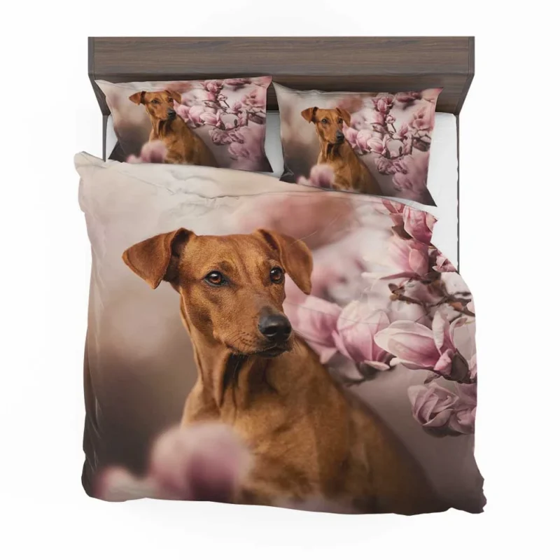 Playful Ridgeback Puppies: Quartet Charm Bedding Set 1