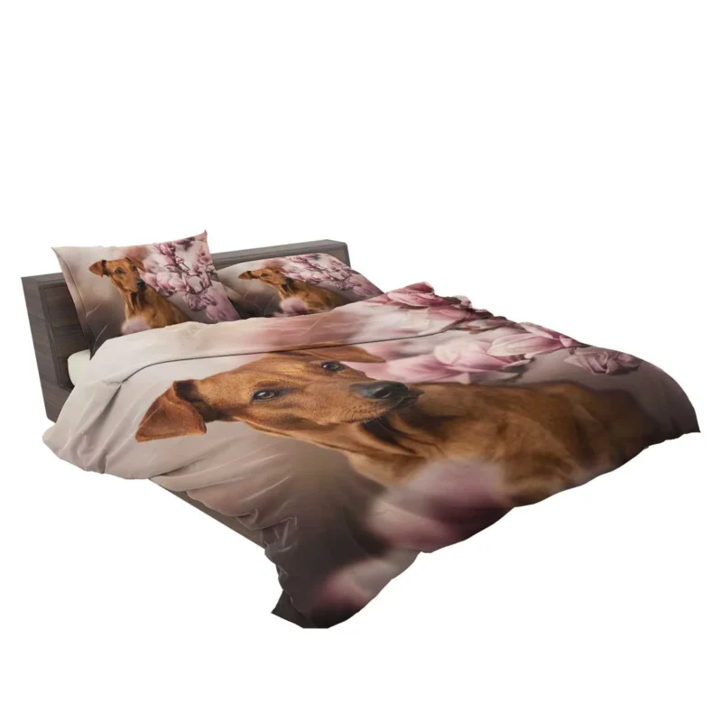 Playful Ridgeback Puppies: Quartet Charm Bedding Set 2