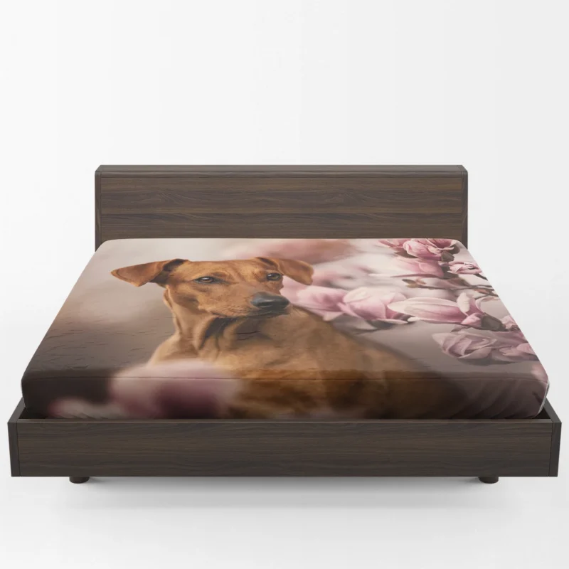 Playful Ridgeback Puppies: Quartet Charm Fitted Sheet 1