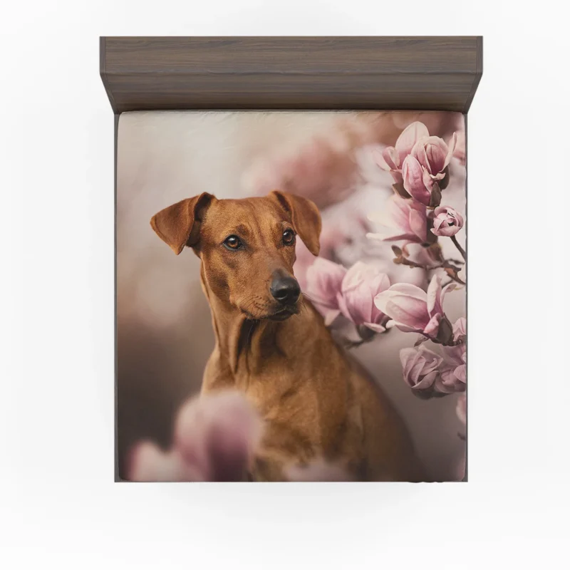 Playful Ridgeback Puppies: Quartet Charm Fitted Sheet