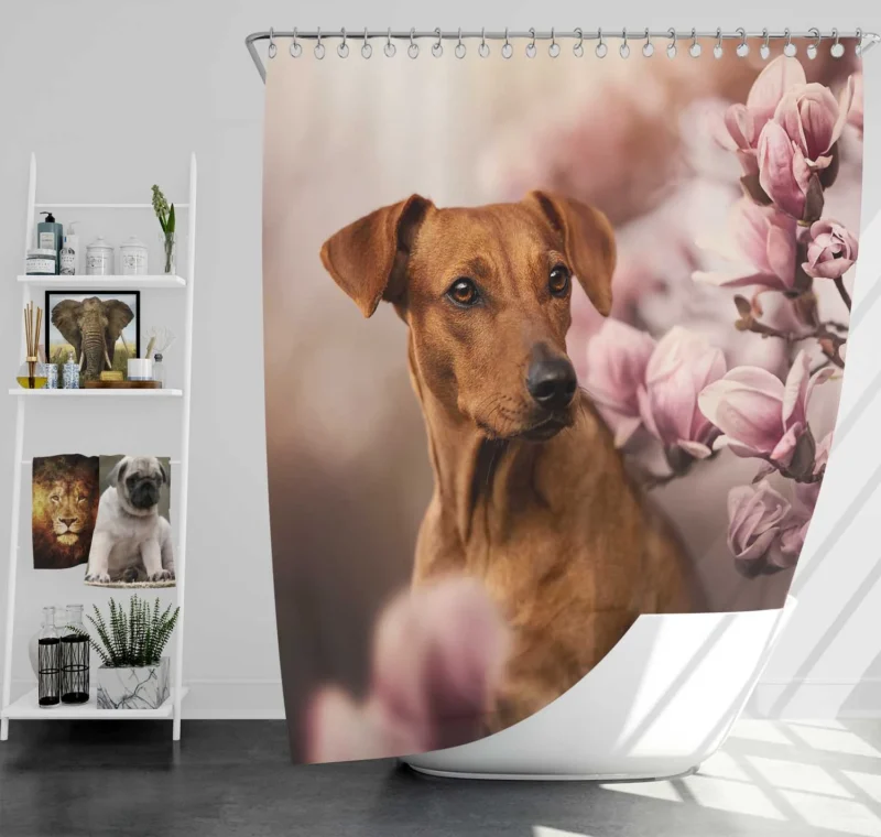 Playful Ridgeback Puppies: Quartet Charm Shower Curtain