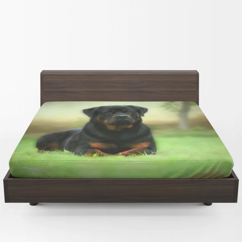 Playful Rottie Pups: Rottweiler Quartet Fitted Sheet 1