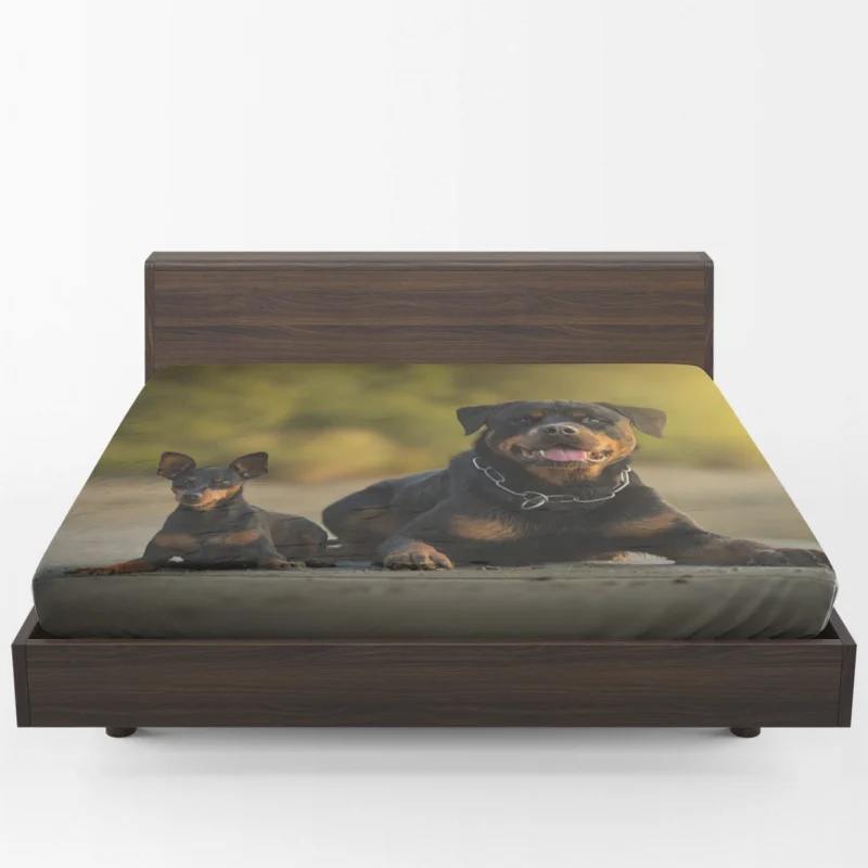 Playful Rottweiler Puppies: Quartet Fitted Sheet 1