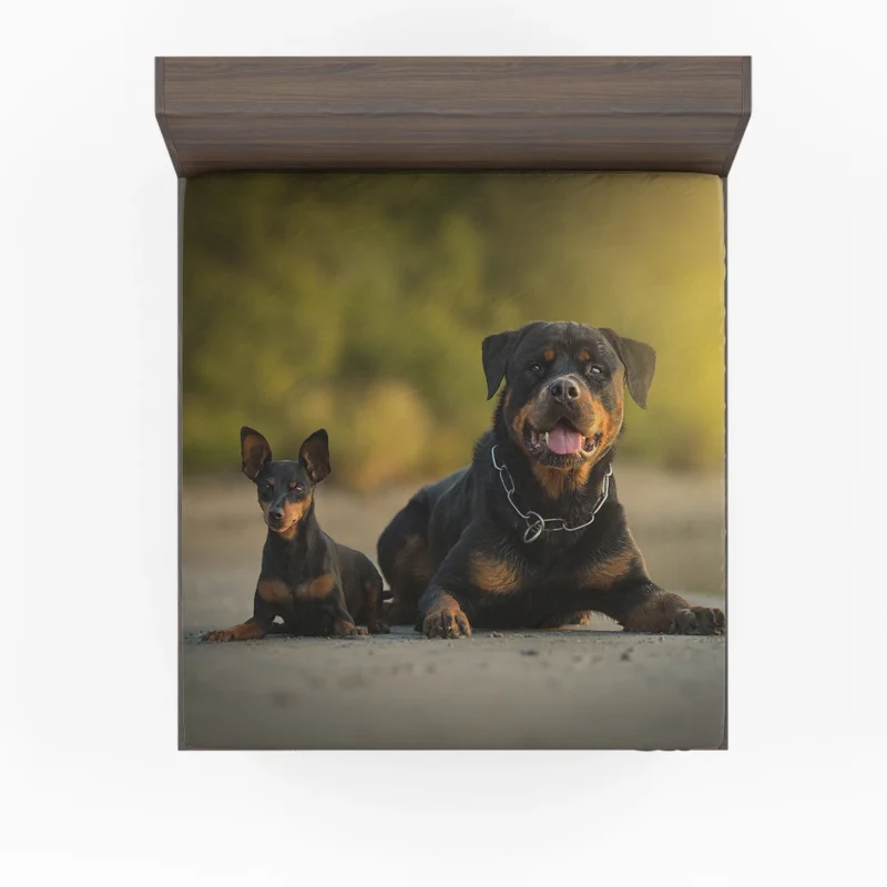 Playful Rottweiler Puppies: Quartet Fitted Sheet