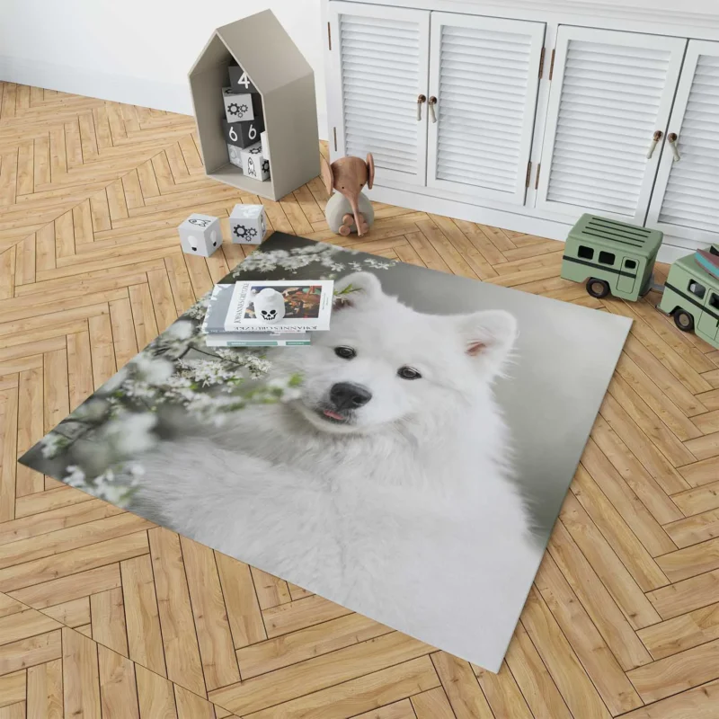 Playful Samoyed Elegance: Quartet Floor Rug 1