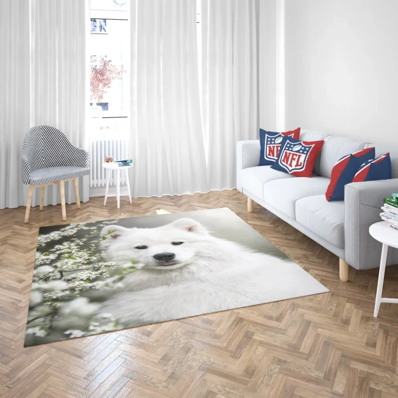 Playful Samoyed Elegance: Quartet Floor Rug 2