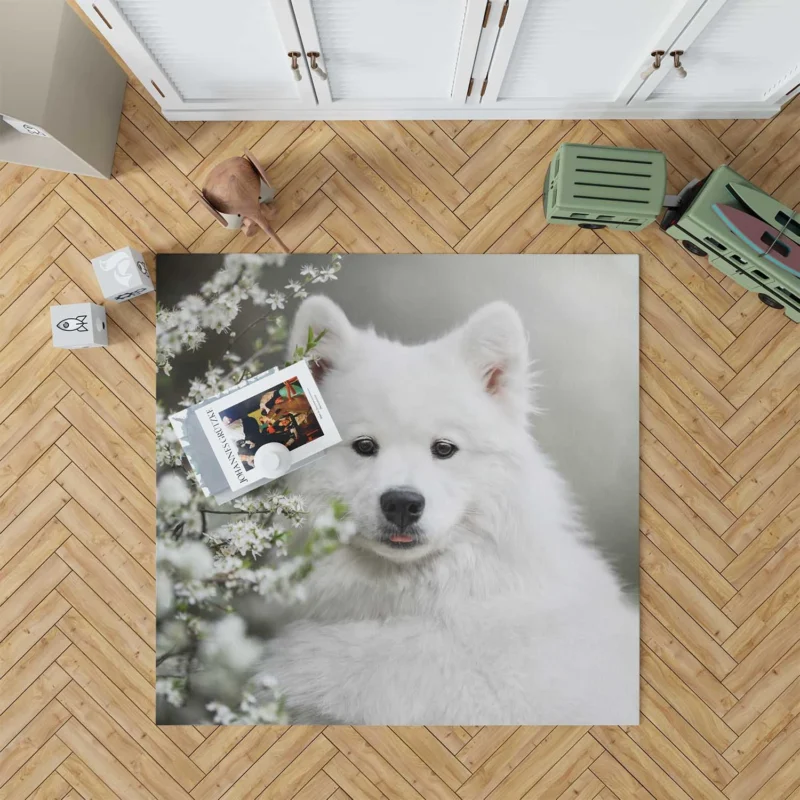 Playful Samoyed Elegance: Quartet Floor Rug