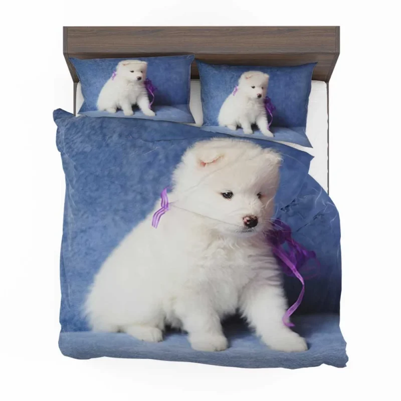 Playful Samoyed Pup: Quartet Bedding Set 1