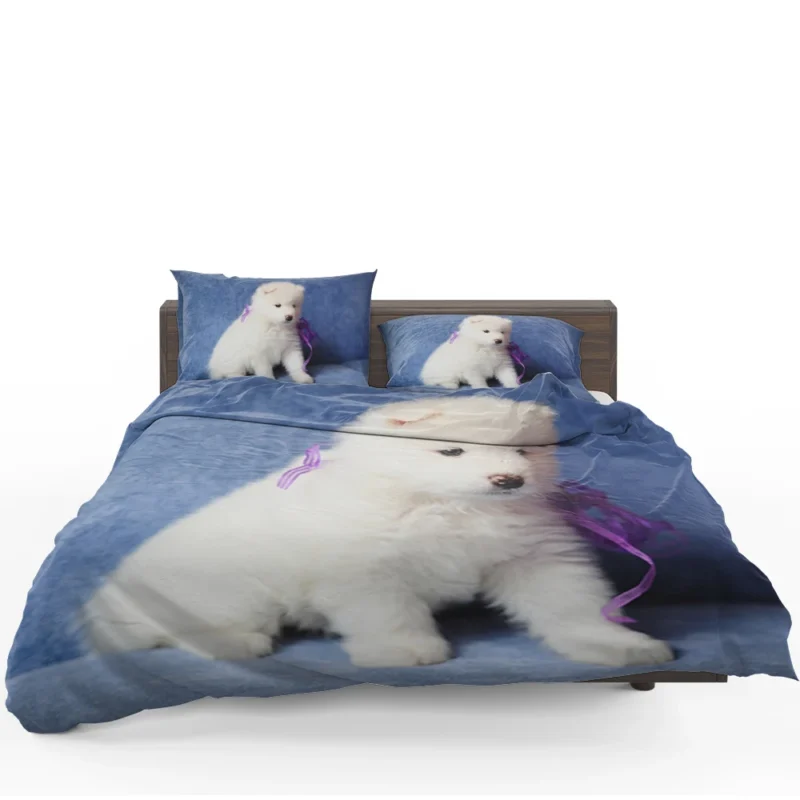 Playful Samoyed Pup: Quartet Bedding Set