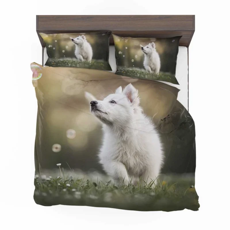 Playful Samoyed Puppy: Quartet Bedding Set 1