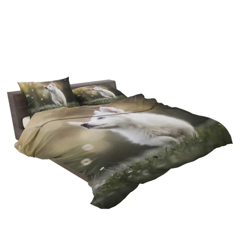 Playful Samoyed Puppy: Quartet Bedding Set 2