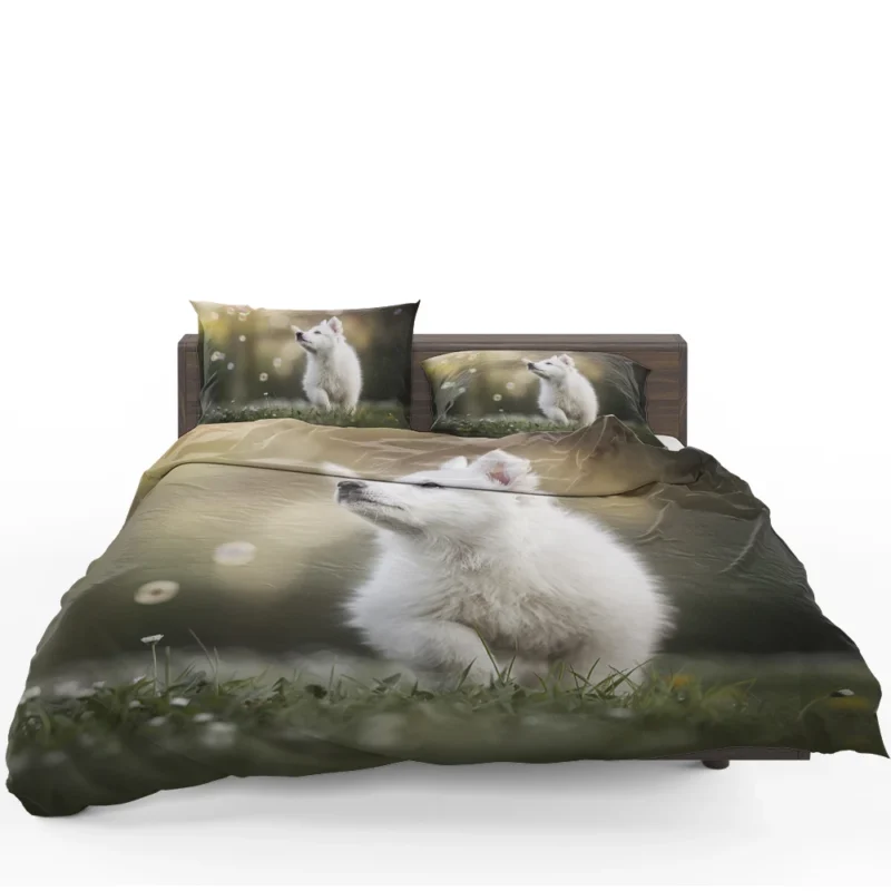 Playful Samoyed Puppy: Quartet Bedding Set