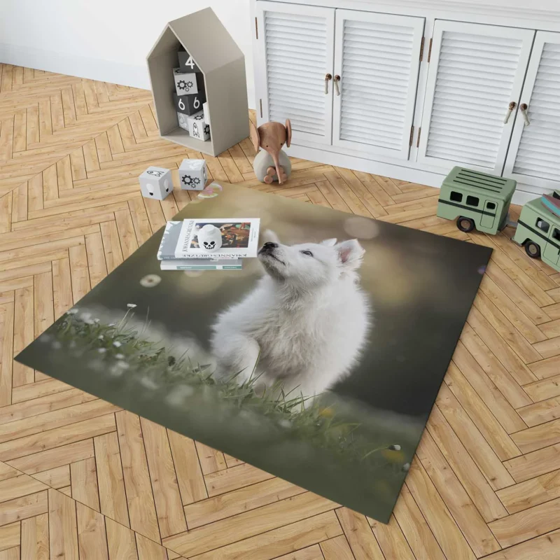 Playful Samoyed Puppy: Quartet Floor Rug 1