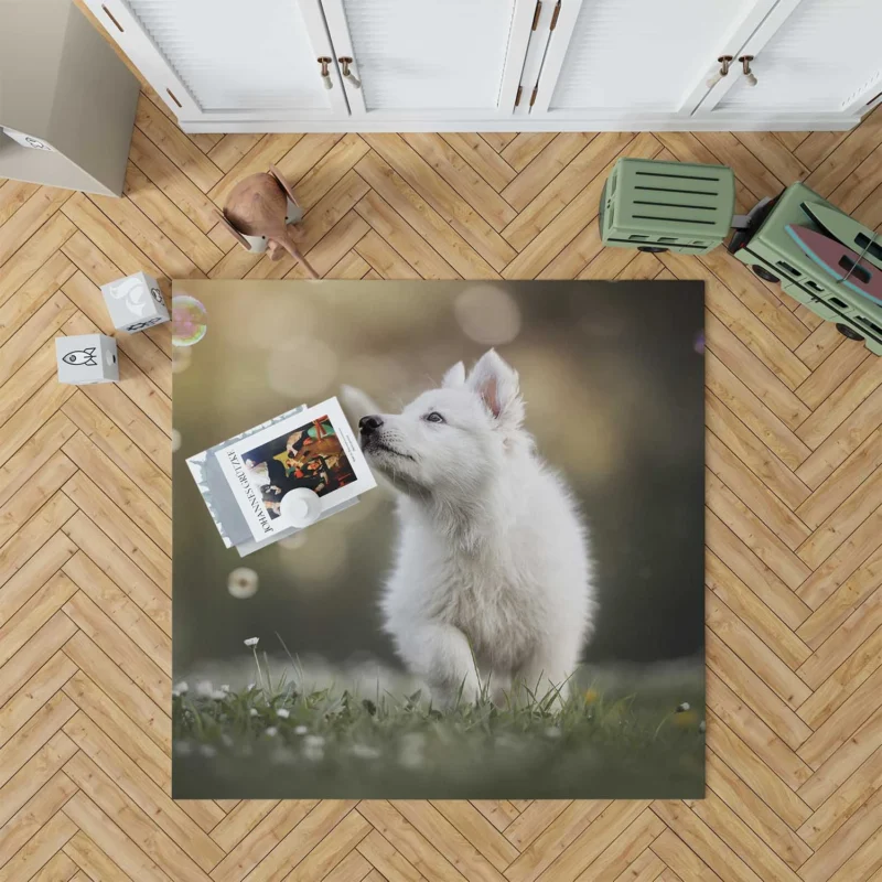 Playful Samoyed Puppy: Quartet Floor Rug