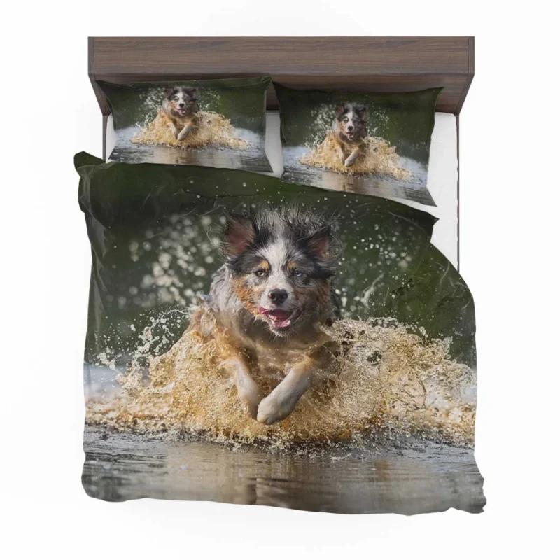 Playful Splash in the Water: Australian Shepherd Bedding Set 1