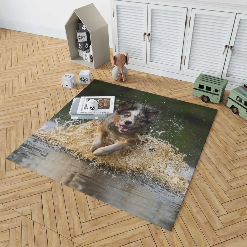 Playful Splash in the Water: Australian Shepherd Floor Rug 1