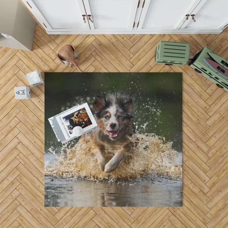 Playful Splash in the Water: Australian Shepherd Floor Rug