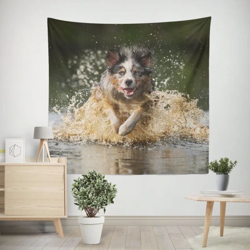 Playful Splash in the Water  Australian Shepherd Wall Tapestry