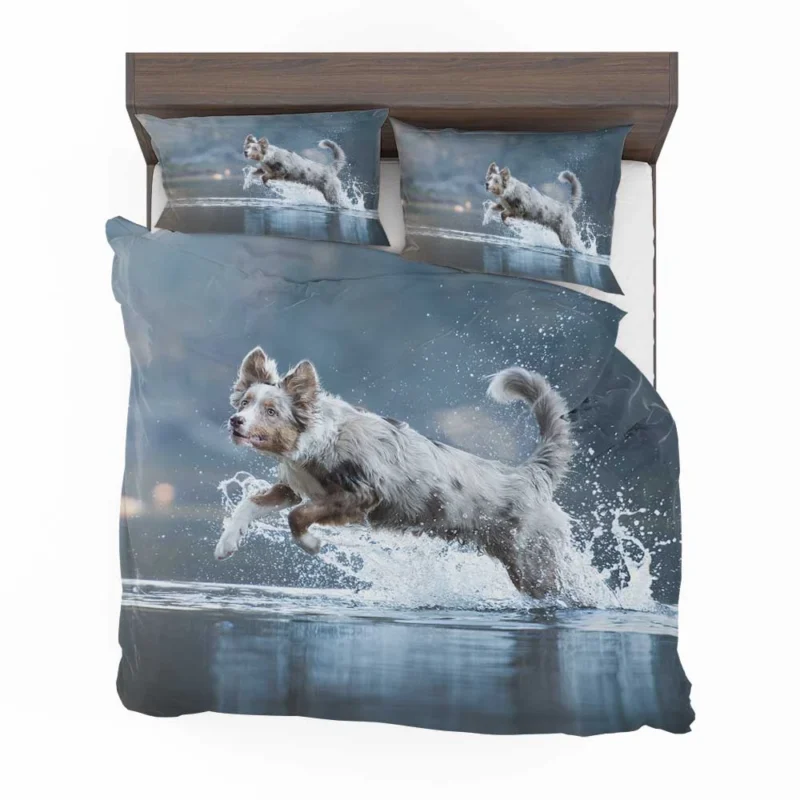 Playful Water Splash: Australian Shepherd Bedding Set 1