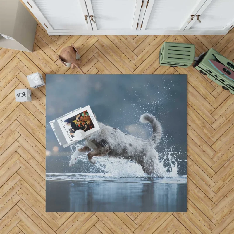 Playful Water Splash: Australian Shepherd Floor Rug