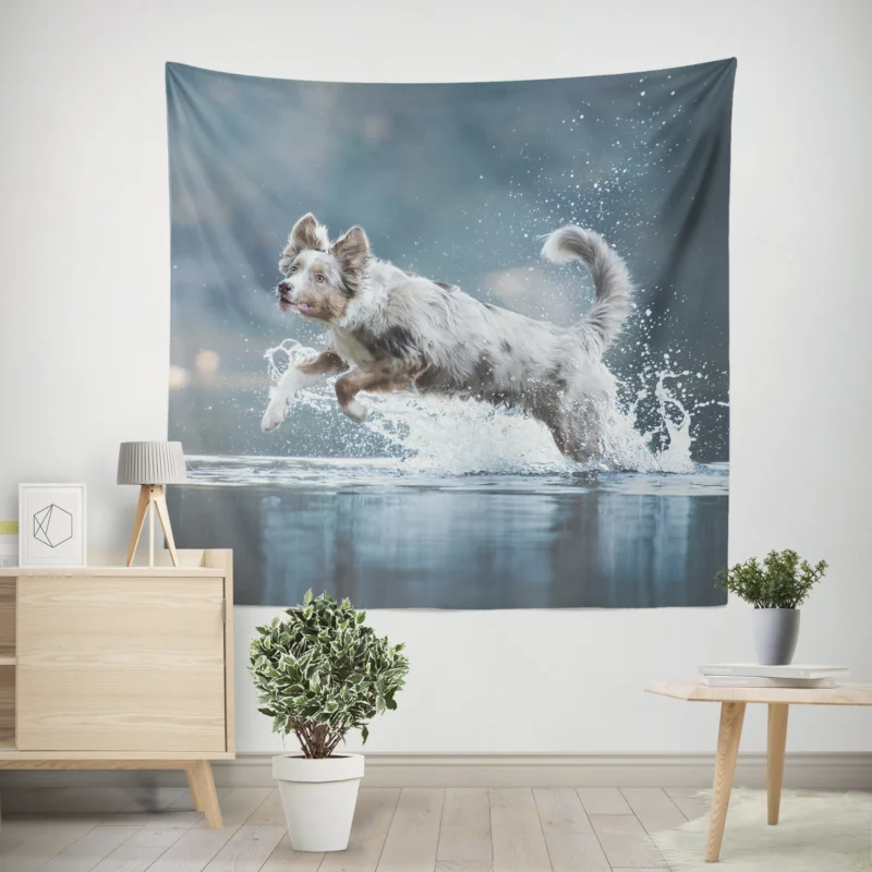 Playful Water Splash  Australian Shepherd Wall Tapestry