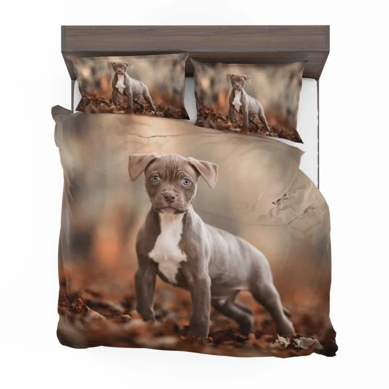 Playful and Cute: American Pit Bull Terrier Puppy Quartet Bedding Set 1