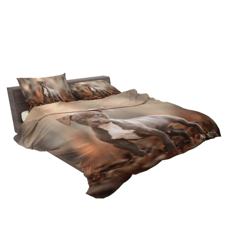 Playful and Cute: American Pit Bull Terrier Puppy Quartet Bedding Set 2