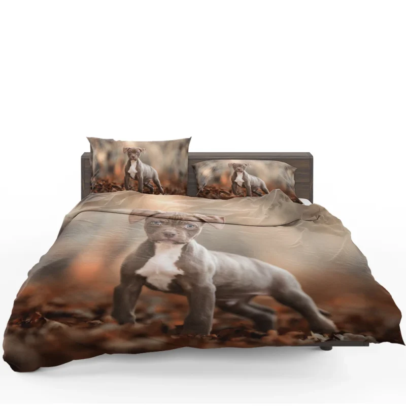 Playful and Cute: American Pit Bull Terrier Puppy Quartet Bedding Set