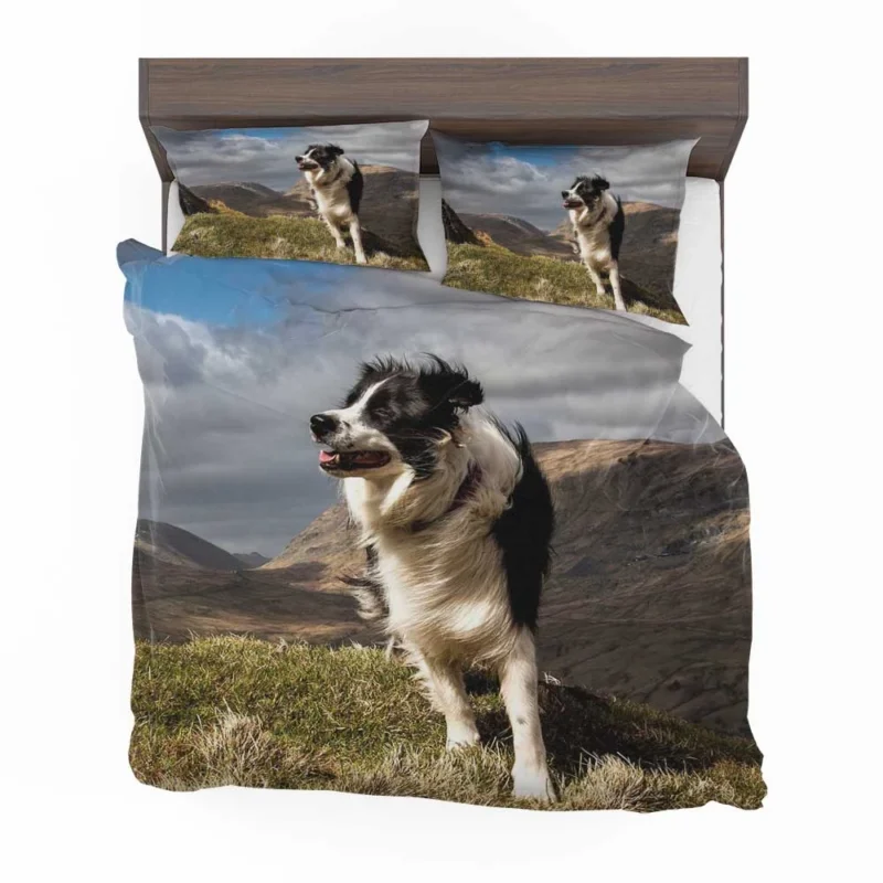 Playful and Energetic Border Collie: Border Collie Bedding Set 1