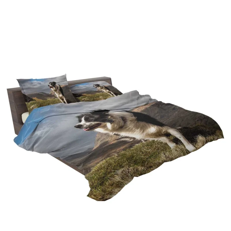 Playful and Energetic Border Collie: Border Collie Bedding Set 2