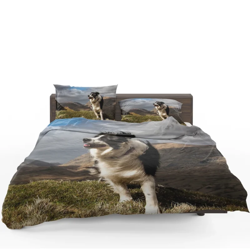 Playful and Energetic Border Collie: Border Collie Bedding Set