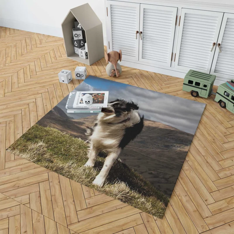 Playful and Energetic Border Collie: Border Collie Floor Rug 1