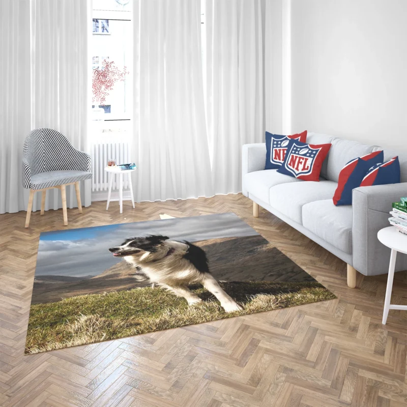 Playful and Energetic Border Collie: Border Collie Floor Rug 2