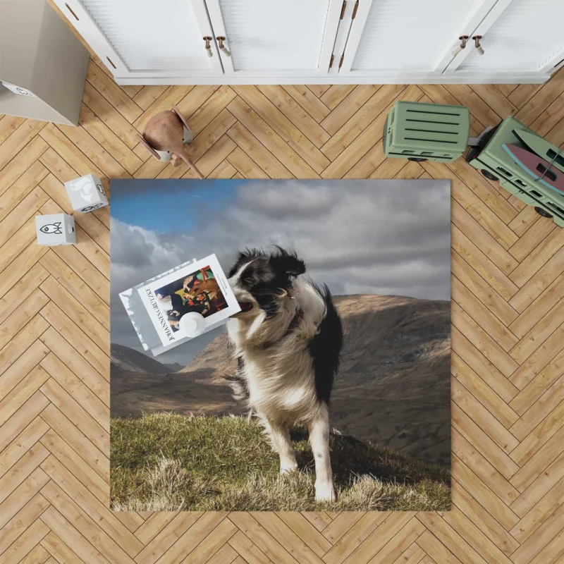 Playful and Energetic Border Collie: Border Collie Floor Rug