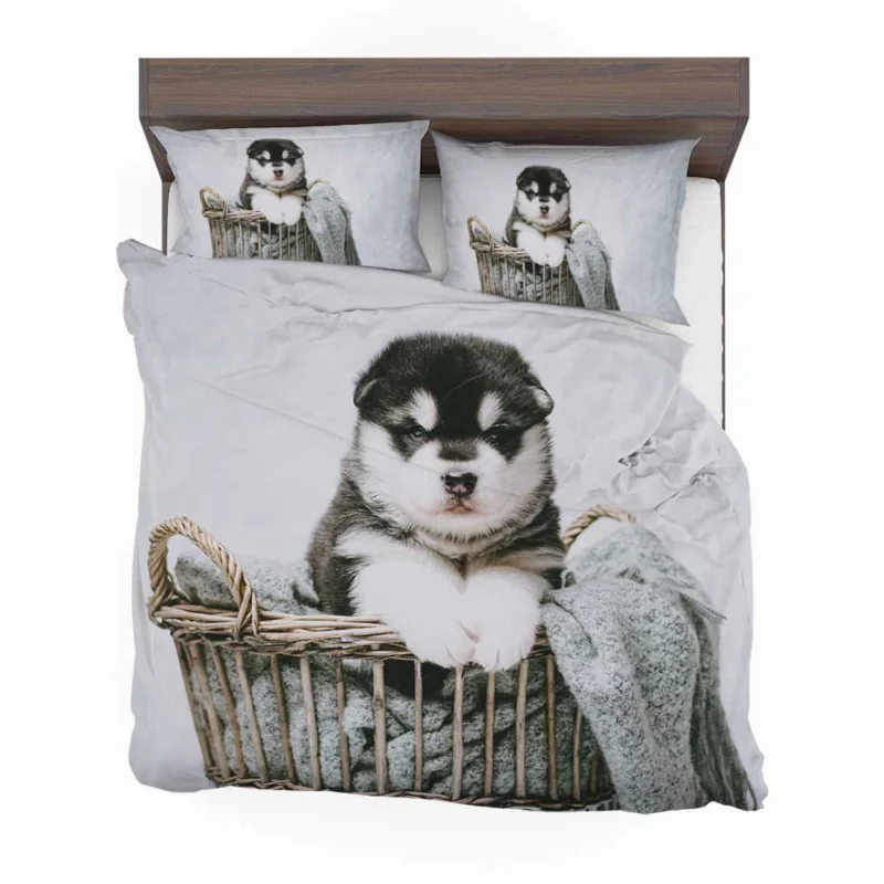 Playfulness of Puppies: Alaskan Malamute Quartet Bedding Set 1