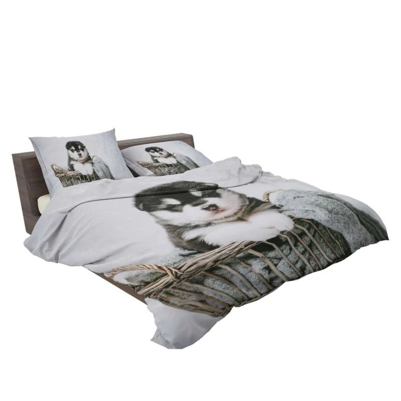 Playfulness of Puppies: Alaskan Malamute Quartet Bedding Set 2