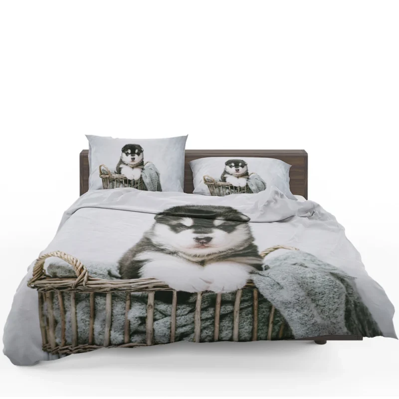 Playfulness of Puppies: Alaskan Malamute Quartet Bedding Set