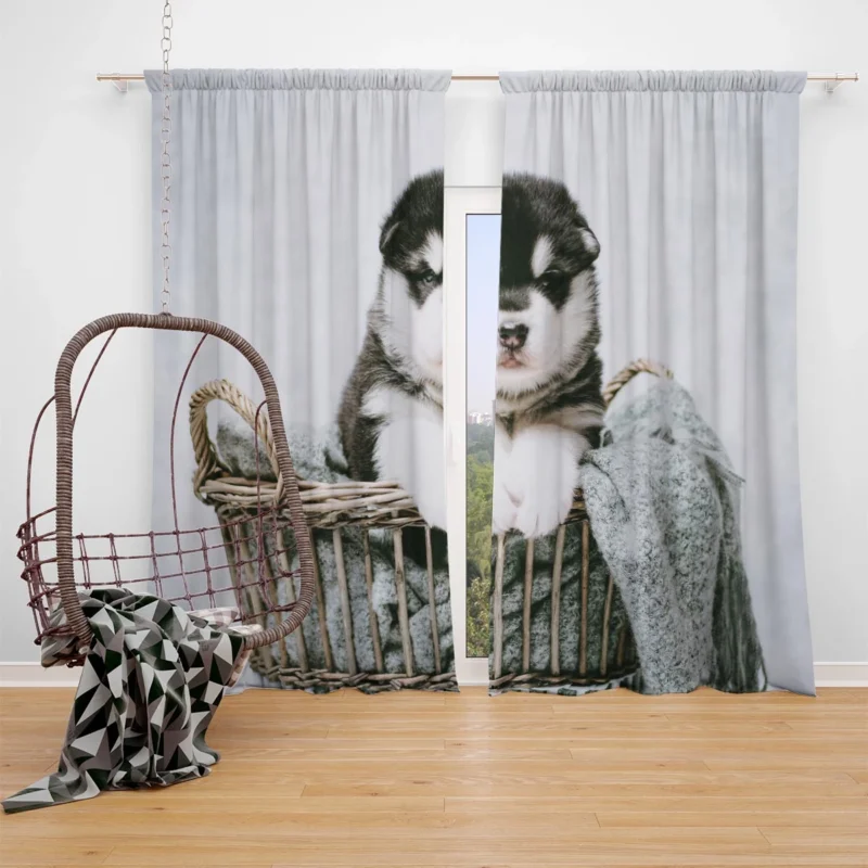 Playfulness of Puppies: Alaskan Malamute Quartet Window Curtain