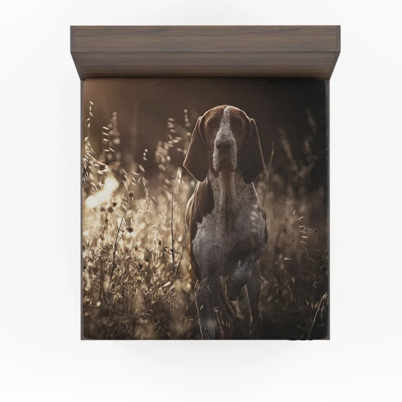 Pointer Pups Galore: Puppy Quartet Fitted Sheet